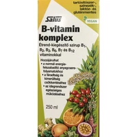 SALUS B-VITAMIN KOMPLEX 250ML