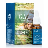K2+D3 VITAMIN 20 ML GAL