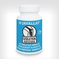 ÍZÜLETEK EGÉSZSÉGE - JAVALLAT