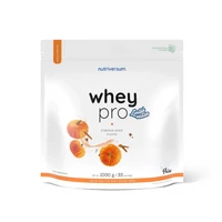 Whey Pro fehérjepor 1000 g Pumpkin Spice - Nutriversum Limited Edition  Whey Pro fehérjepor 1000 g Pumpkin Spice - Nutriversum Limited Edition