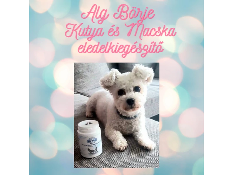 Vitaminok és ásványi anyagok kutyáknak, macskáknak!