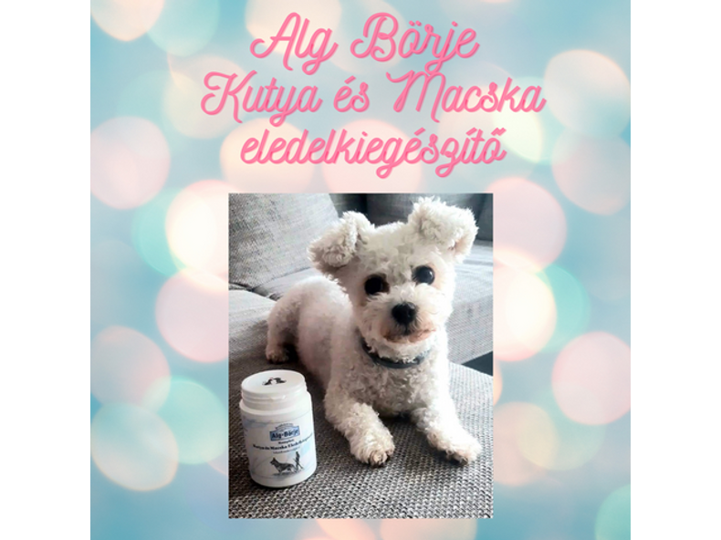 Vitaminok és ásványi anyagok kutyáknak, macskáknak!